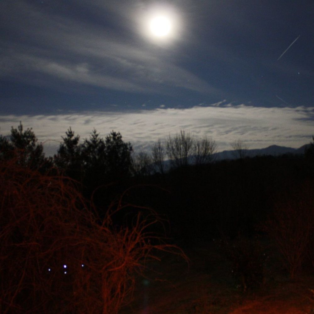 Meet your Posher, Katy